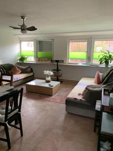 Hofesh Apartment Altdorf  Exterior photo
